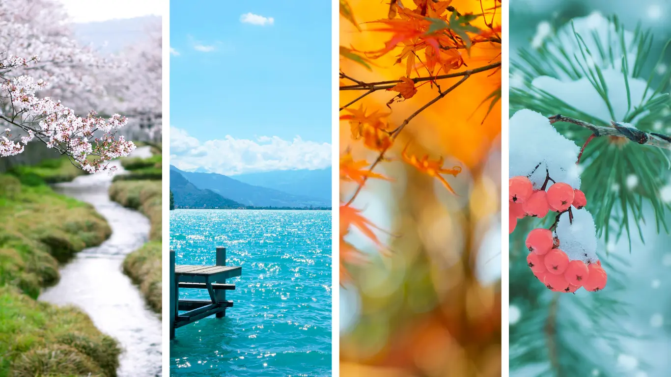 Nos soins saisonniers visage et corps