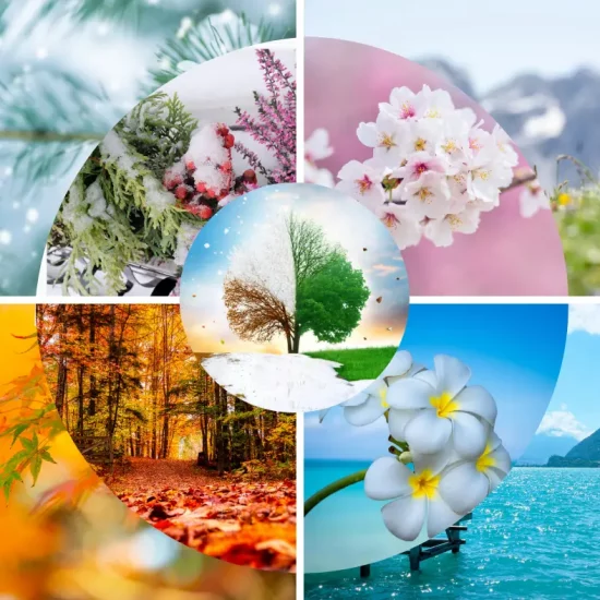 Soins saisonniers visage et corps