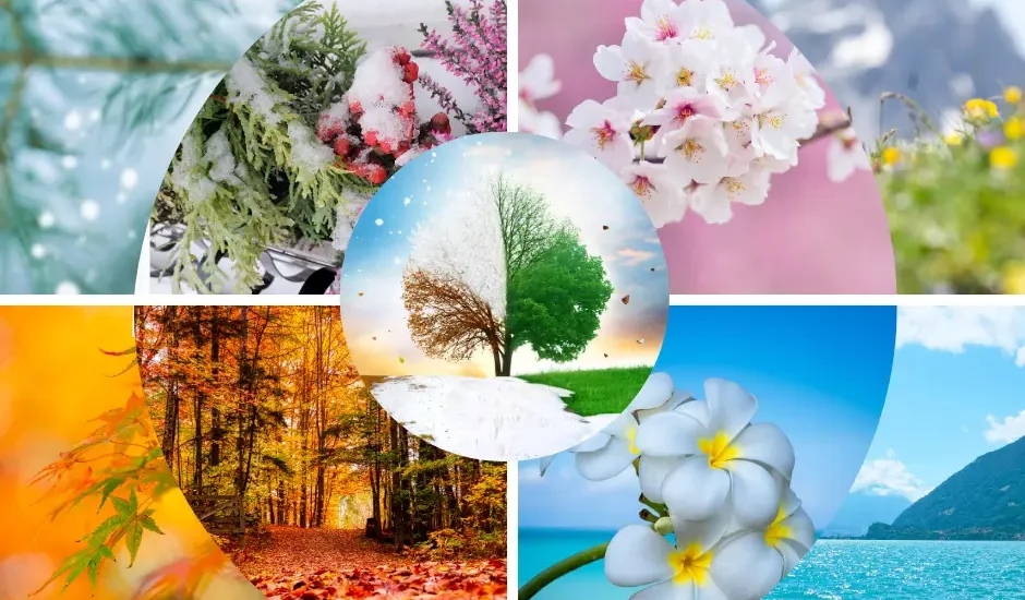 Soins saisonniers visage et corps