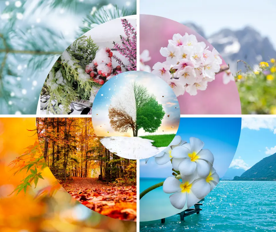 Soins saisonniers visage et corps